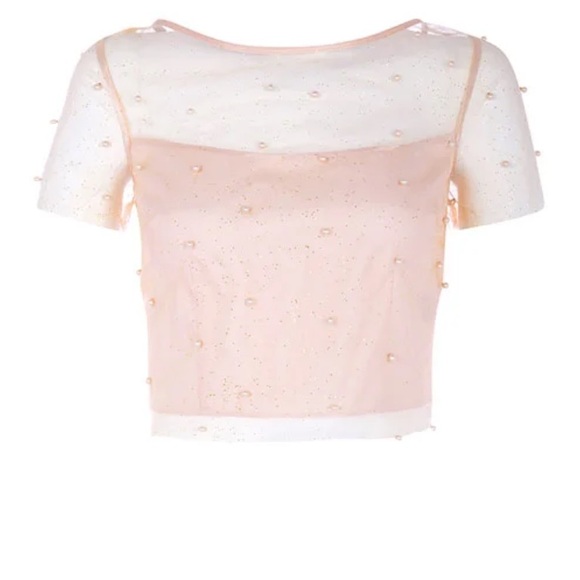 Privy Pearl Sheer Mesh Top - Picture 13 of 13